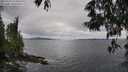 ./images/koeye/fitz-hugh/20250525/fitz-hugh20250525_145010M.jpg