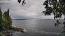 ./images/koeye/fitz-hugh/20250525/fitz-hugh20250525_150010M.jpg