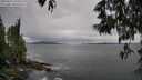 ./images/koeye/fitz-hugh/20250525/fitz-hugh20250525_150506M.jpg