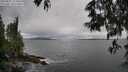 ./images/koeye/fitz-hugh/20250525/fitz-hugh20250525_151010M.jpg