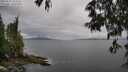 ./images/koeye/fitz-hugh/20250525/fitz-hugh20250525_152510M.jpg