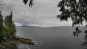 ./images/koeye/fitz-hugh/20250525/fitz-hugh20250525_153509M.jpg