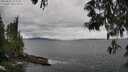 ./images/koeye/fitz-hugh/20250525/fitz-hugh20250525_154511M.jpg