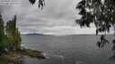 ./images/koeye/fitz-hugh/20250525/fitz-hugh20250525_155011M.jpg