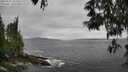 ./images/koeye/fitz-hugh/20250525/fitz-hugh20250525_155509M.jpg