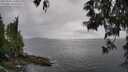 ./images/koeye/fitz-hugh/20250525/fitz-hugh20250525_160011M.jpg