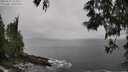 ./images/koeye/fitz-hugh/20250525/fitz-hugh20250525_161010M.jpg