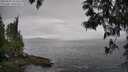./images/koeye/fitz-hugh/20250525/fitz-hugh20250525_162510M.jpg