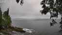 ./images/koeye/fitz-hugh/20250525/fitz-hugh20250525_165011M.jpg