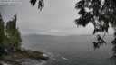 ./images/koeye/fitz-hugh/20250525/fitz-hugh20250525_165508M.jpg