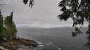 ./images/koeye/fitz-hugh/20250525/fitz-hugh20250525_170011M.jpg