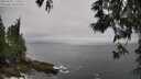 ./images/koeye/fitz-hugh/20250525/fitz-hugh20250525_170509M.jpg