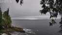 ./images/koeye/fitz-hugh/20250525/fitz-hugh20250525_171510M.jpg