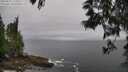 ./images/koeye/fitz-hugh/20250525/fitz-hugh20250525_172510M.jpg