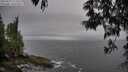 ./images/koeye/fitz-hugh/20250525/fitz-hugh20250525_173510M.jpg