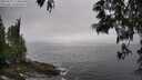./images/koeye/fitz-hugh/20250525/fitz-hugh20250525_174010M.jpg