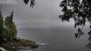 ./images/koeye/fitz-hugh/20250525/fitz-hugh20250525_175509M.jpg