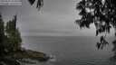 ./images/koeye/fitz-hugh/20250525/fitz-hugh20250525_182010M.jpg