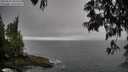 ./images/koeye/fitz-hugh/20250525/fitz-hugh20250525_183510M.jpg