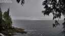 ./images/koeye/fitz-hugh/20250525/fitz-hugh20250525_190507M.jpg