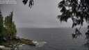 ./images/koeye/fitz-hugh/20250525/fitz-hugh20250525_200507M.jpg