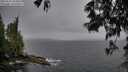 ./images/koeye/fitz-hugh/20250525/fitz-hugh20250525_203008M.jpg