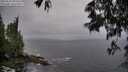 ./images/koeye/fitz-hugh/20250525/fitz-hugh20250525_203509M.jpg