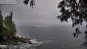 ./images/koeye/fitz-hugh/20250525/fitz-hugh20250525_204009M.jpg