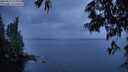 ./images/koeye/fitz-hugh/20250525/fitz-hugh20250525_215508M.jpg