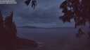./images/koeye/fitz-hugh/20250526/fitz-hugh20250526_043508M.jpg