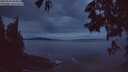 ./images/koeye/fitz-hugh/20250526/fitz-hugh20250526_044009M.jpg