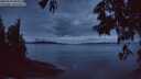 ./images/koeye/fitz-hugh/20250526/fitz-hugh20250526_044508M.jpg