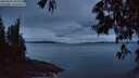 ./images/koeye/fitz-hugh/20250526/fitz-hugh20250526_045508M.jpg