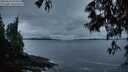 ./images/koeye/fitz-hugh/20250526/fitz-hugh20250526_050508M.jpg
