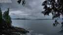 ./images/koeye/fitz-hugh/20250526/fitz-hugh20250526_051009M.jpg