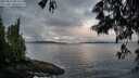 ./images/koeye/fitz-hugh/20250526/fitz-hugh20250526_054509M.jpg