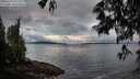 ./images/koeye/fitz-hugh/20250526/fitz-hugh20250526_055509M.jpg