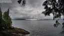 ./images/koeye/fitz-hugh/20250526/fitz-hugh20250526_063009M.jpg
