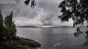 ./images/koeye/fitz-hugh/20250526/fitz-hugh20250526_064011M.jpg