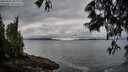 ./images/koeye/fitz-hugh/20250526/fitz-hugh20250526_065509M.jpg