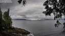 ./images/koeye/fitz-hugh/20250526/fitz-hugh20250526_070510M.jpg
