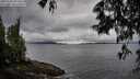 ./images/koeye/fitz-hugh/20250526/fitz-hugh20250526_071010M.jpg