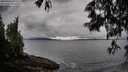 ./images/koeye/fitz-hugh/20250526/fitz-hugh20250526_072509M.jpg