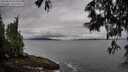 ./images/koeye/fitz-hugh/20250526/fitz-hugh20250526_074510M.jpg