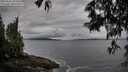 ./images/koeye/fitz-hugh/20250526/fitz-hugh20250526_075010M.jpg
