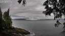 ./images/koeye/fitz-hugh/20250526/fitz-hugh20250526_075510M.jpg