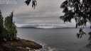 ./images/koeye/fitz-hugh/20250526/fitz-hugh20250526_080011M.jpg