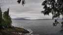 ./images/koeye/fitz-hugh/20250526/fitz-hugh20250526_081511M.jpg