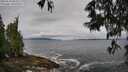 ./images/koeye/fitz-hugh/20250526/fitz-hugh20250526_083510M.jpg