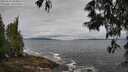 ./images/koeye/fitz-hugh/20250526/fitz-hugh20250526_084010M.jpg